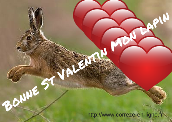 Bonne St Valentin Mon lapin